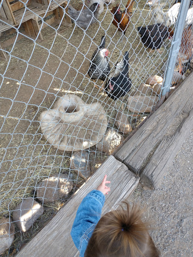 Zoo «Jr Pony Parties», reviews and photos, 1744 N Leonard Ln, Las Vegas, NV 89108, USA