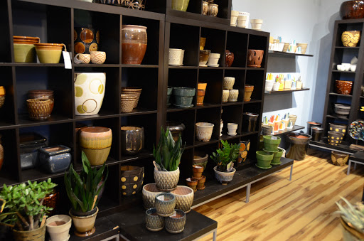 Florist «Urban Sense», reviews and photos, 5402 W Vliet St, Milwaukee, WI 53208, USA