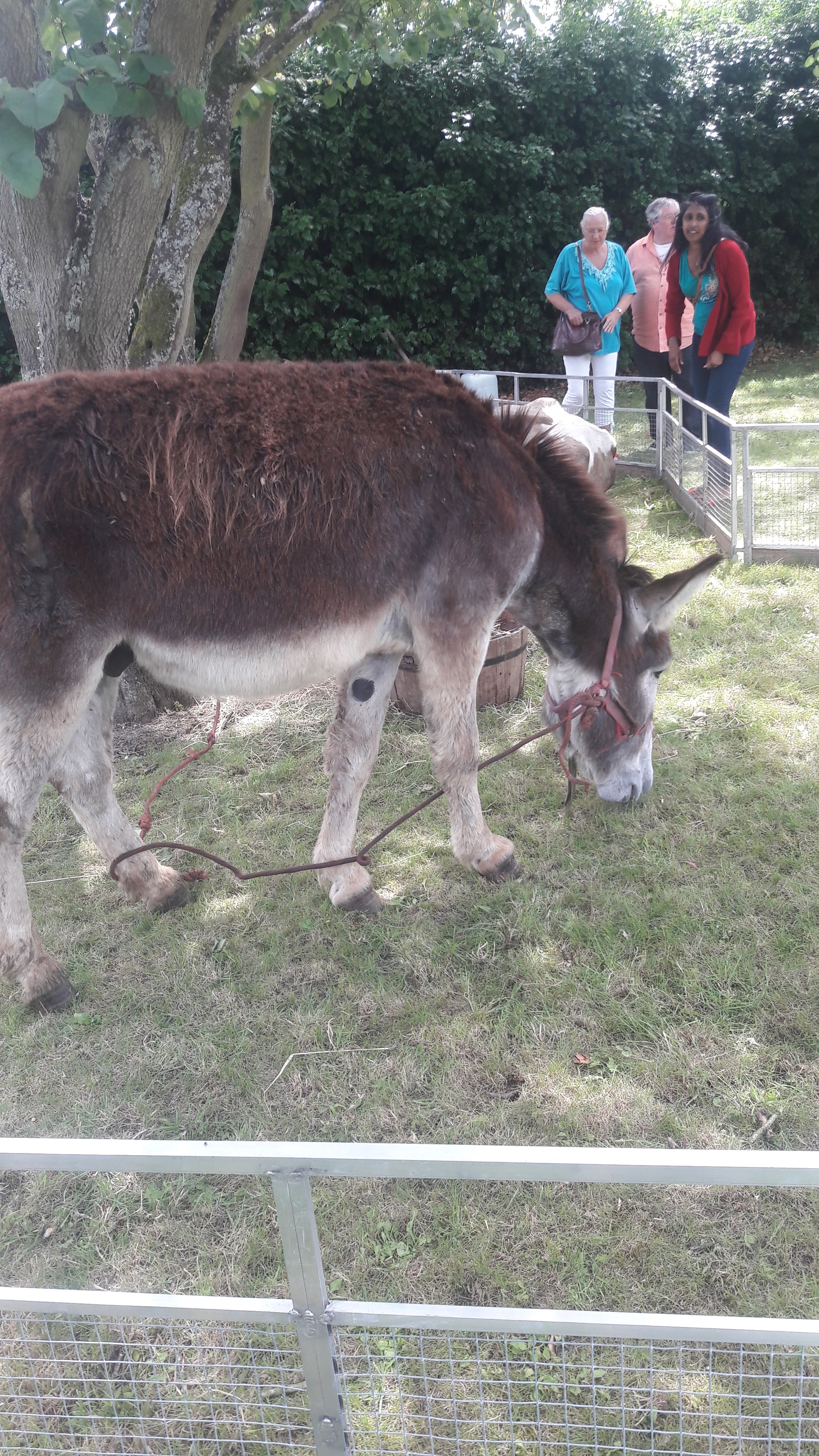 Photo n° 15 de l'avis de monique.O fait le 21/04/2018 à 14:04