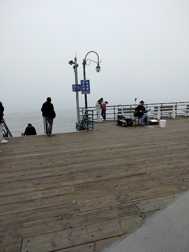 Pet Supply Store «Unleashed by Petco», reviews and photos, 1402 Wilshire Blvd, Santa Monica, CA 90403, USA