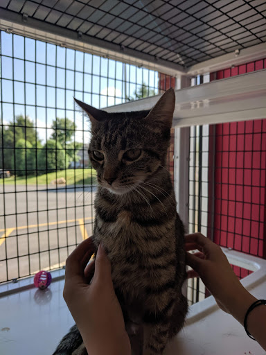 Pet Supply Store «Pet Supermarket», reviews and photos, 8030 TN-100, Bellevue, TN 37221, USA