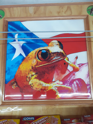 Supermarket «La Primera», reviews and photos, 6221 Ridge Rd, Port Richey, FL 34668, USA