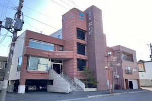 Business Hotel Oikawa image