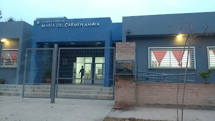 Escuela Especial María del Carmen Amaya