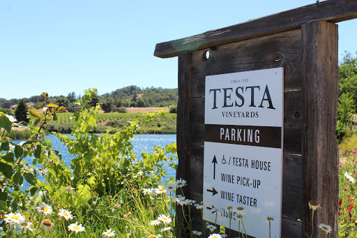 Winery «Testa Vineyards llc.», reviews and photos, 6400 N State St, Ukiah, CA 95482, USA