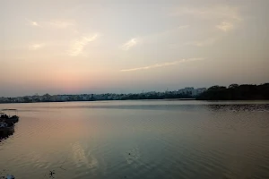 Madiwala lake island1 image