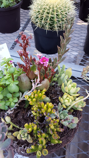 Home Improvement Store «The Home Depot», reviews and photos, 1200 Home Depot Blvd, Sunset Valley, TX 78745, USA