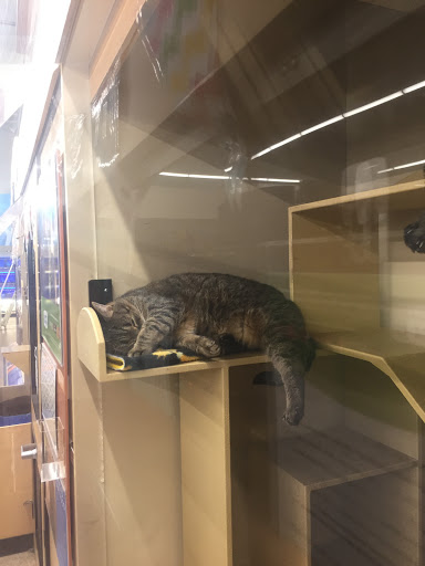 Pet Supply Store «Petco Animal Supplies», reviews and photos, 300 Hylan Dr, Rochester, NY 14623, USA