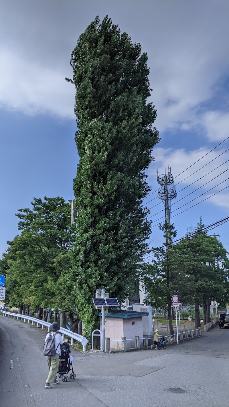 花園児童遊園