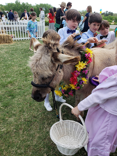 Pony Ride Service «Animals Unlimited LLC est 1996 travelling petting zoo/pony rides/travelling exotic animal programs .», reviews and photos, 16805 Mountain Rd, Montpelier, VA 23192, USA