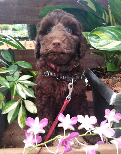 Home Improvement Store «The Home Depot», reviews and photos, 871 North Hwy 27, Lady Lake, FL 32159, USA