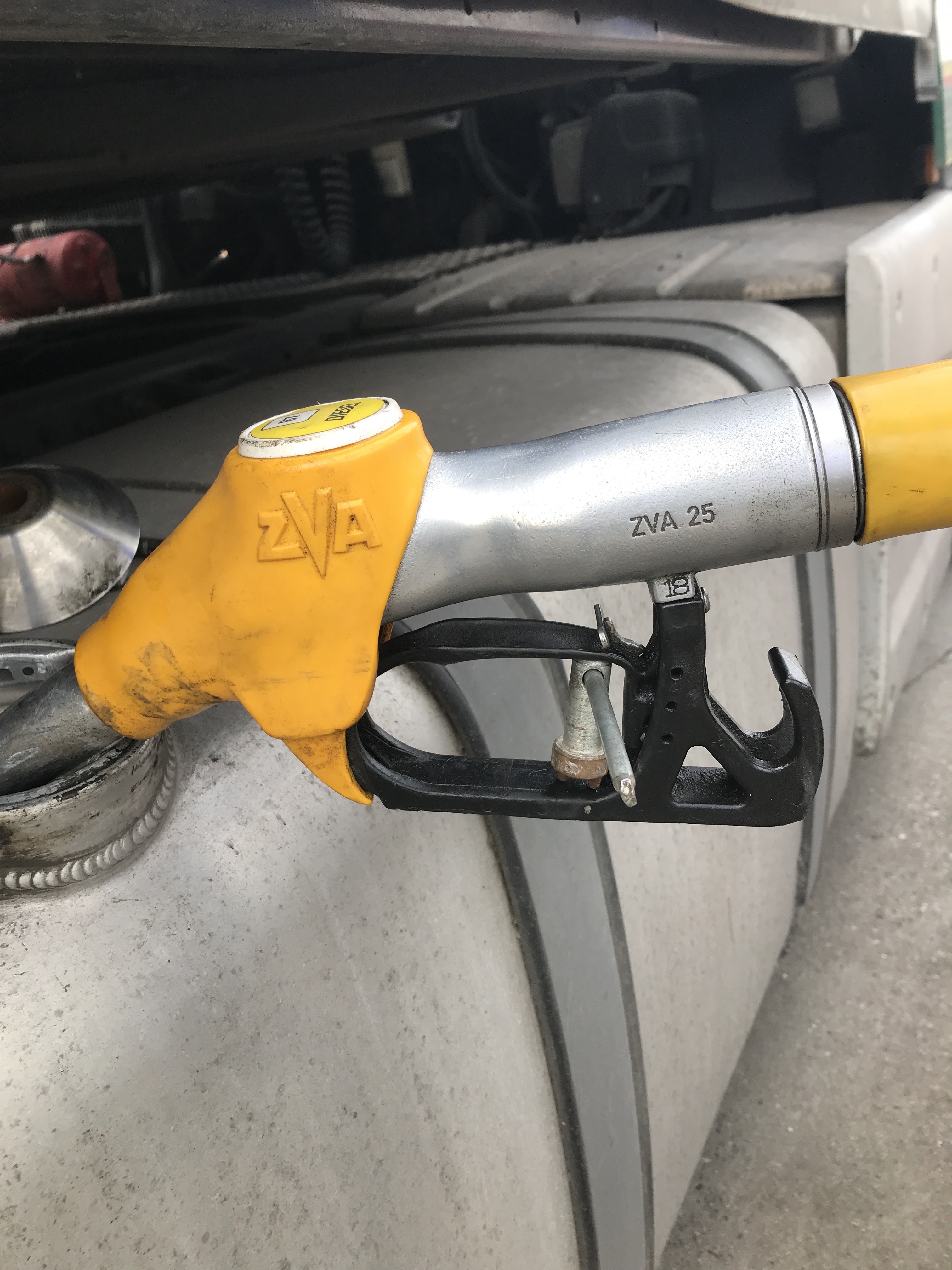 Photo n° 1 de l'avis de Vector.e fait le 18/03/2022 à 14:24