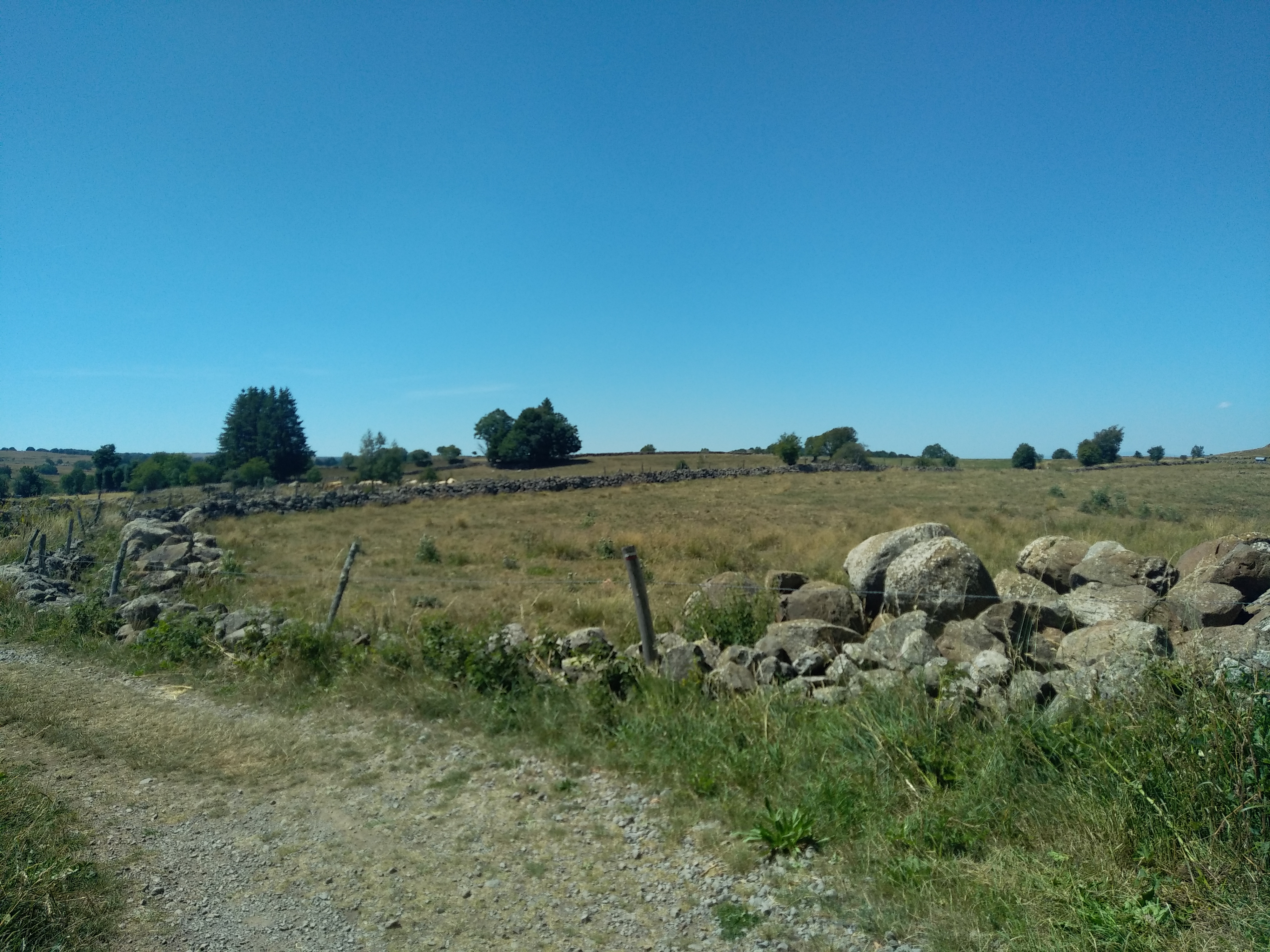 Photo n° 34 de l'avis de Julien.a fait le 14/07/2022 à 19:44