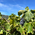 Photo n°4 de l'avis de Sylwana.y fait le 25/09/2023 à 15:12 sur le  Hotel Rural Quinta do Pégo à Valença do Douro