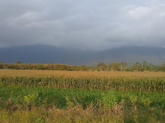 Dr. Agro Matriz y Oficina - Montalvo