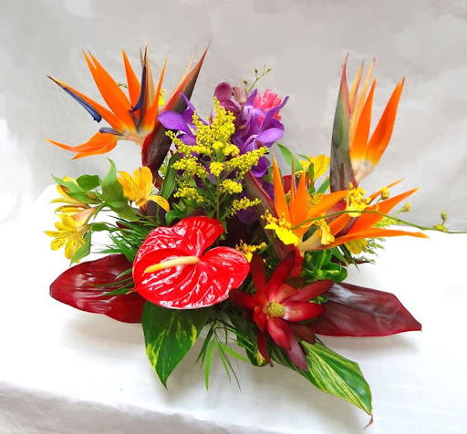 Florist «La Fleur Florals and Events», reviews and photos, 2047 Wilton Dr, Wilton Manors, FL 33305, USA