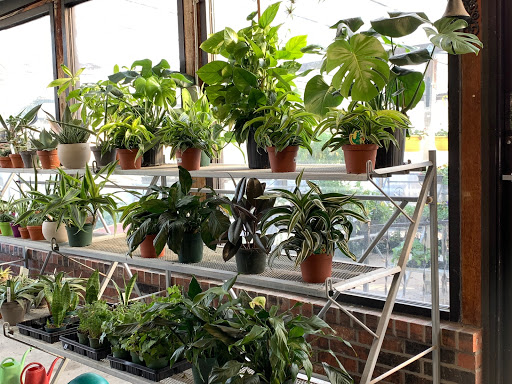 Garden Center «Hillside Feed & Seed Store», reviews and photos, 1805 S Hillside St, Wichita, KS 67211, USA