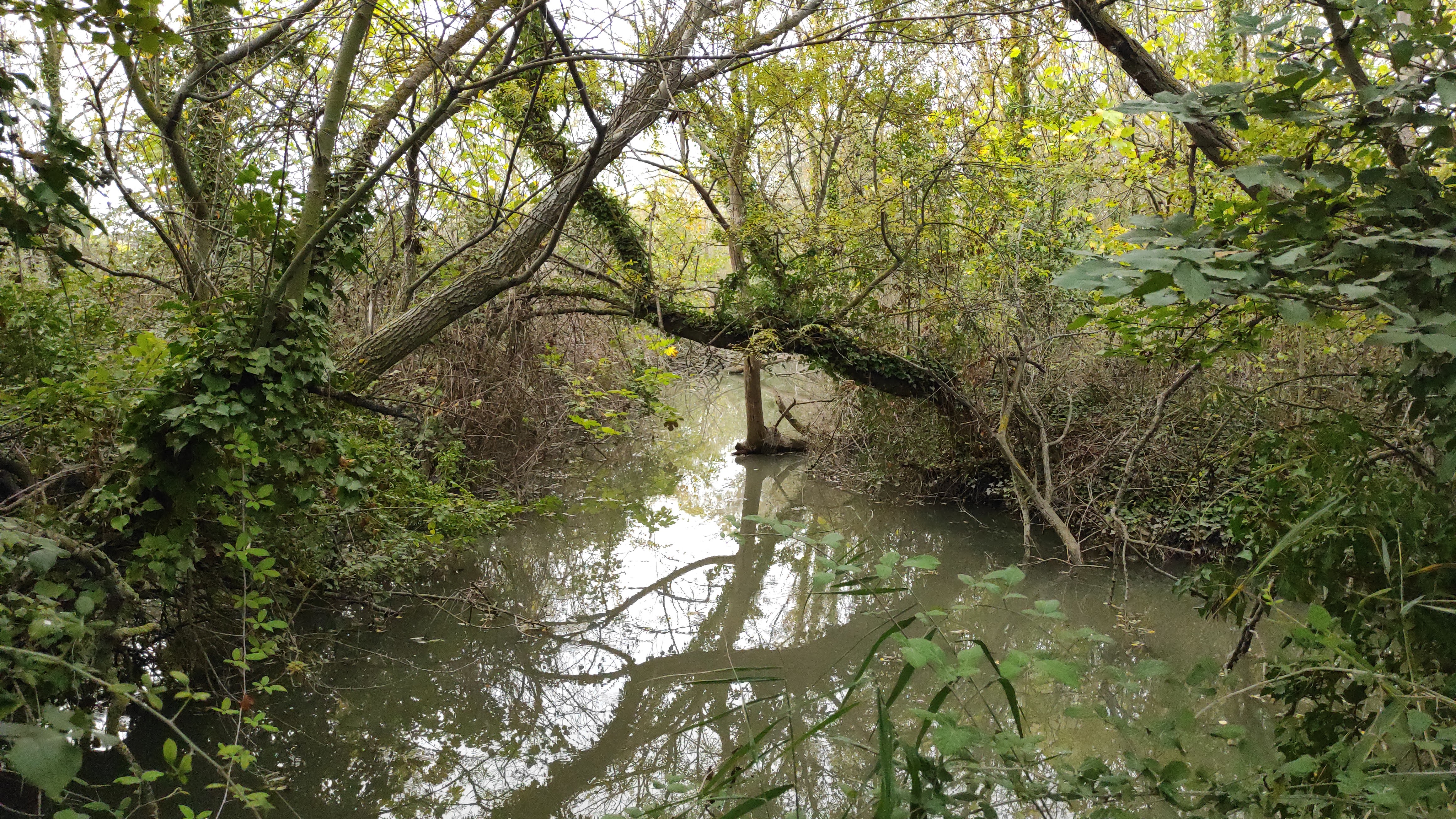 Photo n° 30 de l'avis de barbara.i fait le 31/10/2022 à 11:35