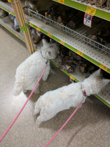 Pet Supply Store «PetSmart», reviews and photos, 351 N Frontage Rd, New London, CT 06320, USA