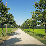 Photo n°1 de l'avis de Rocco.f fait le 01/07/2018 à 22:35 sur le  Cascina Lasso à Morimondo