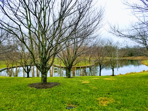 Modern Art Museum «Glenstone», reviews and photos, 12002 Glen Rd, Potomac, MD 20854, USA