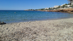 Calo el Moro photo #6