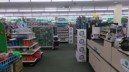 Dollar Store «Dollar Tree», reviews and photos, 3172 Middle Country Rd, Lake Grove, NY 11755, USA