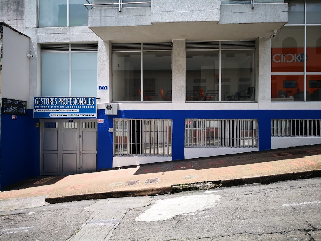 Gestores Profesionales