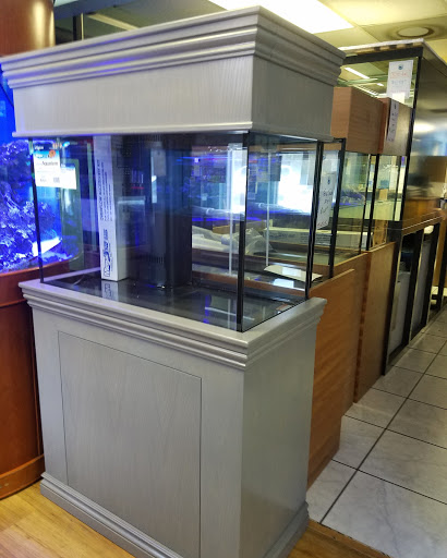 Pet Store «Tanks A Lot Aquariums», reviews and photos, 6680 Lantana Rd, Lake Worth, FL 33467, USA