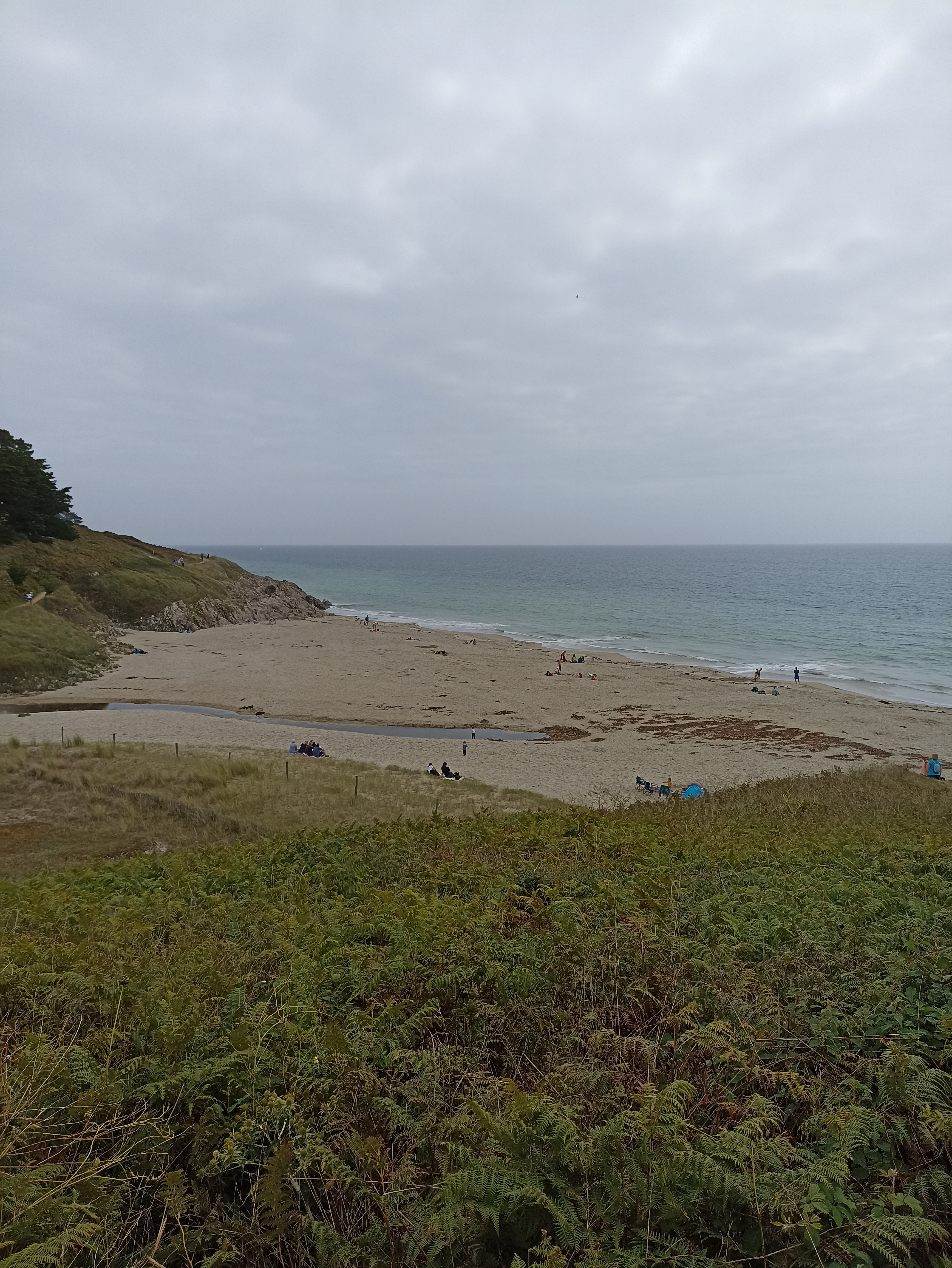 Photo n° 1 de l'avis de Frédérique.e fait le 16/08/2023 à 18:18