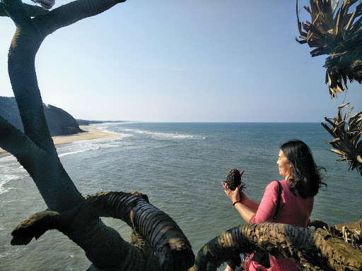 Top 20 cửa hàng 2guys1box Huyện Vĩnh Linh Quảng Trị 2022