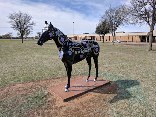 Forever Painted Horse