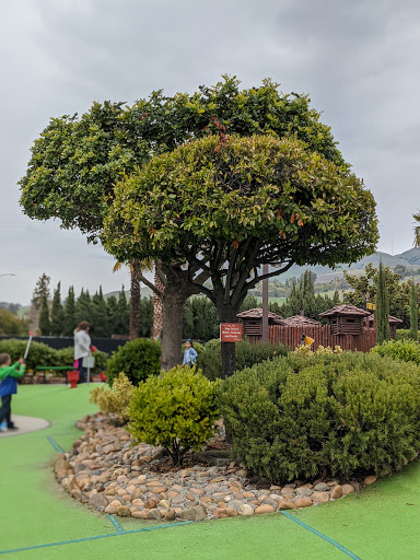 Miniature Golf Course «Golfland», reviews and photos