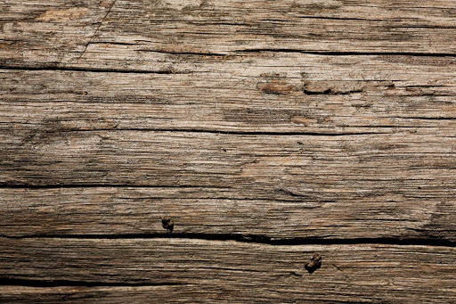 Pioneer Tattoo Company, 426 Railroad St W, Elizabethton, TN 37643, USA, 