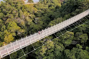 Houtanjing Sky Bridge image