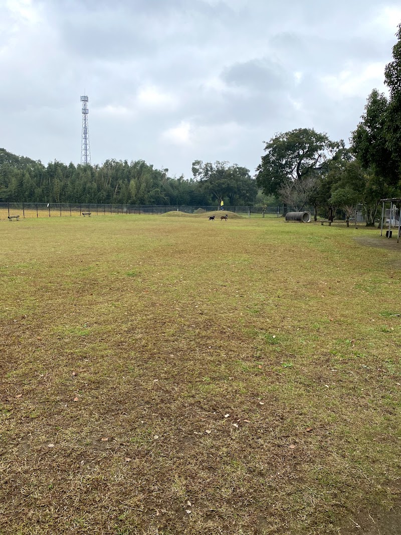 百目木運動公園・ドッグラン場