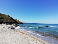 Foto di Dolphin Nude beach con una costa spaziosa