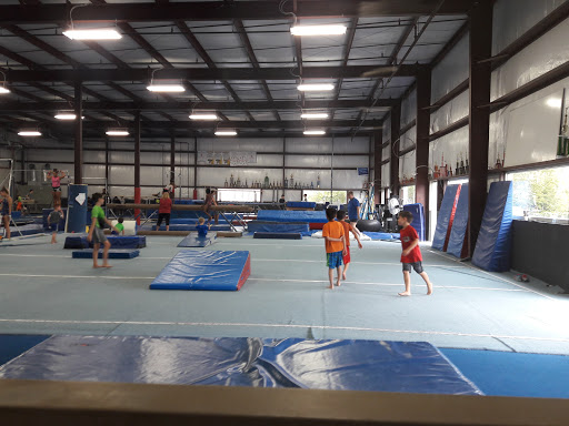 Auto Repair Shop «Autopotenza LLC.», reviews and photos, 10651 E 59th St, Indianapolis, IN 46236, USA