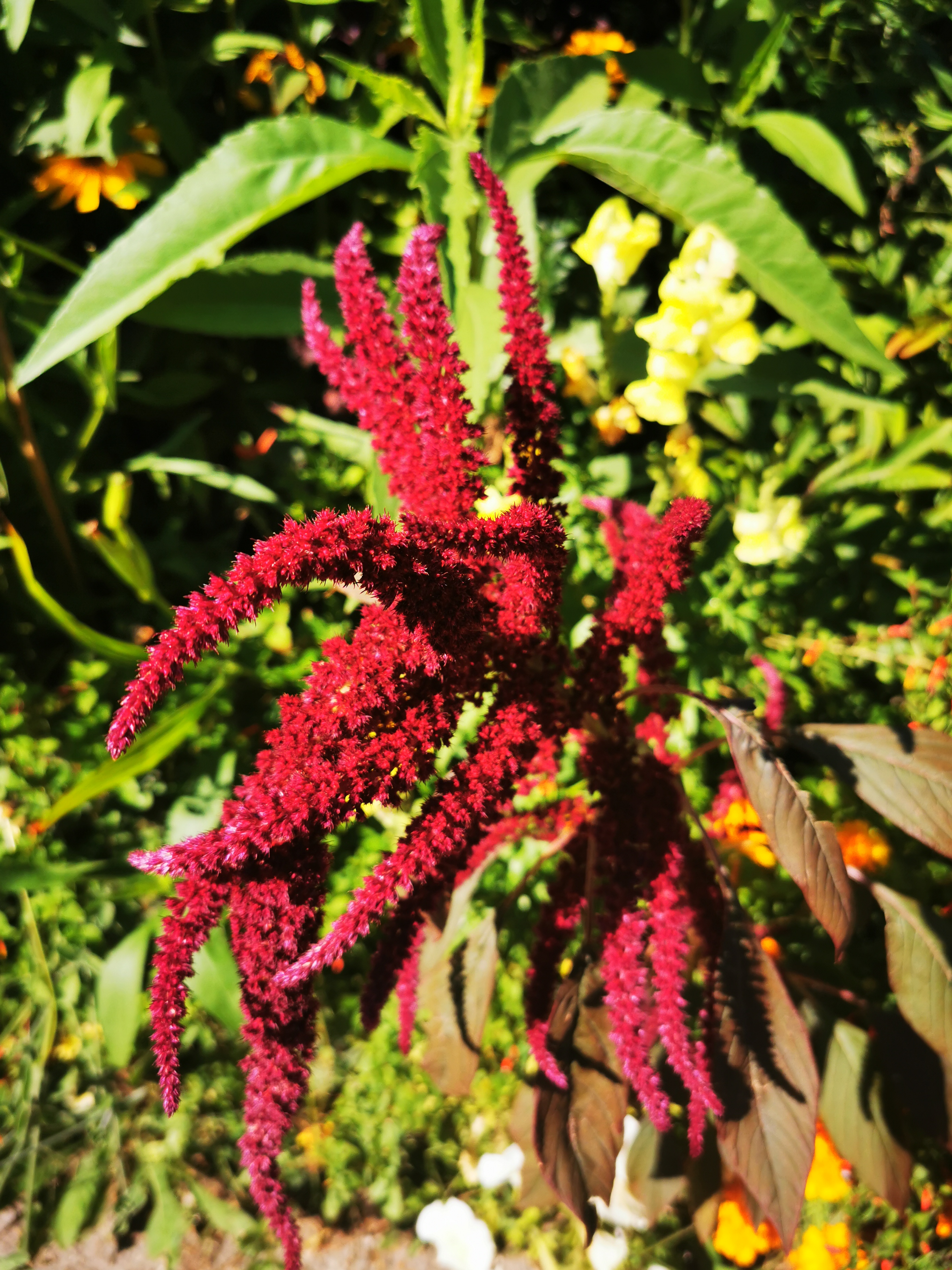 Photo n° 18 de l'avis de ASMA.A fait le 16/08/2022 à 18:29