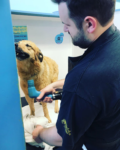 Pet Supply Store «Brookside Barkery & Bath», reviews and photos, 118 W 63rd St, Kansas City, MO 64113, USA