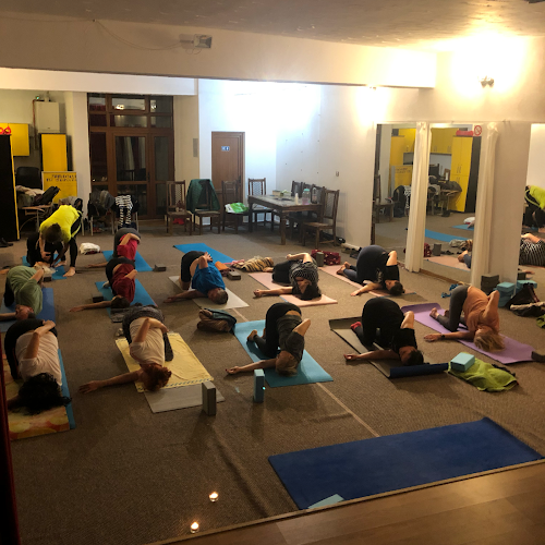 Opinii despre Sexyavocado | Yoga In Iasi în <nil> - Sala de Fitness