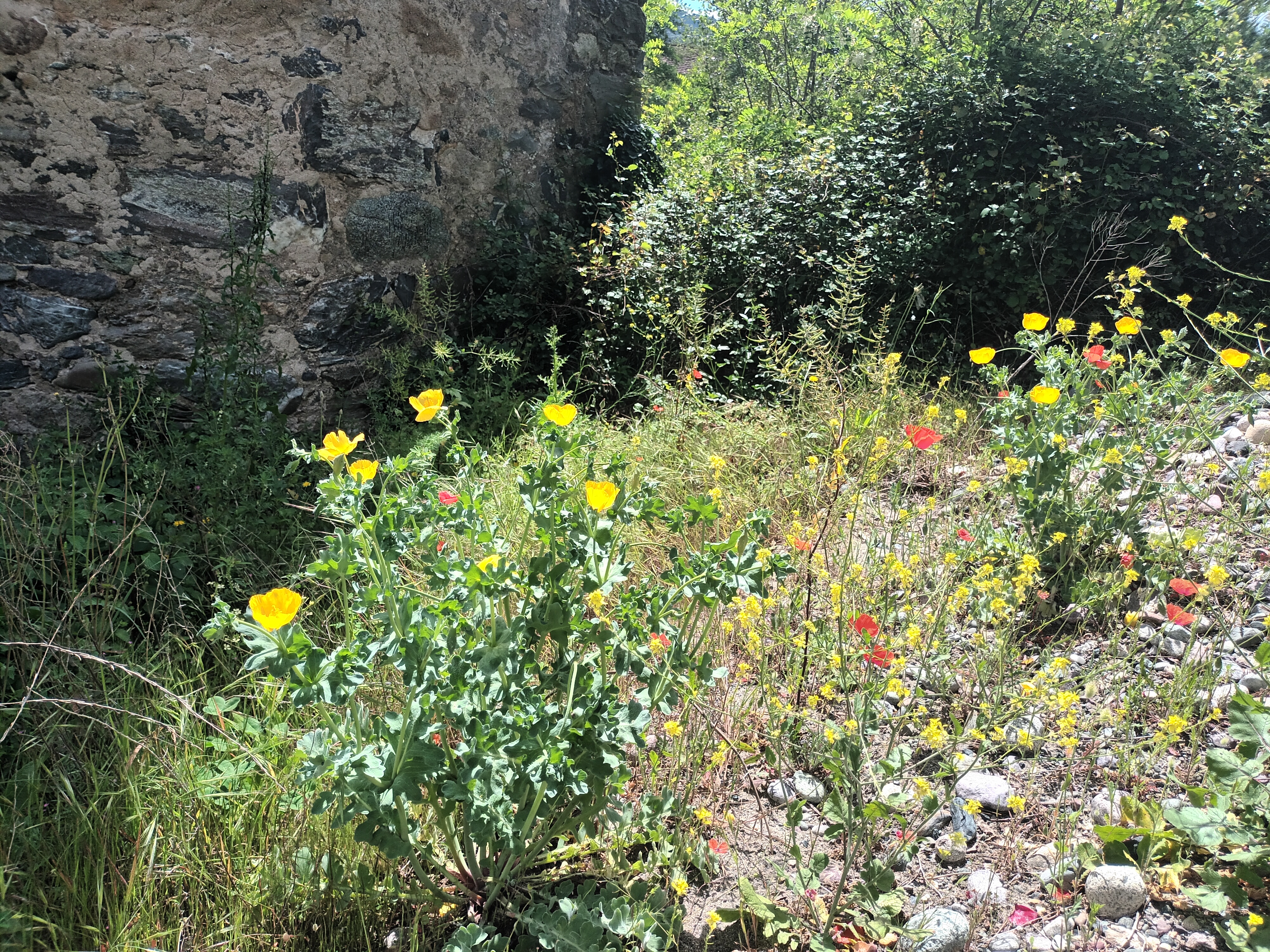 Photo n° 5 de l'avis de OWAË.a fait le 15/05/2023 à 13:34