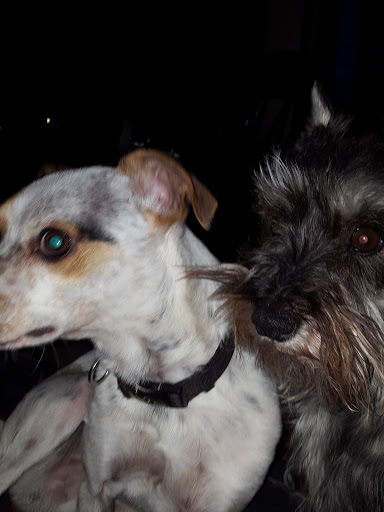 Pet Supply Store «Pet Supplies Plus», reviews and photos, 9430 W 159th St, Orland Park, IL 60467, USA