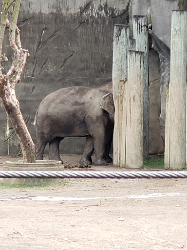 Water Park «Zoombezi Bay», reviews and photos, 10101 Riverside Dr, Powell, OH 43065, USA