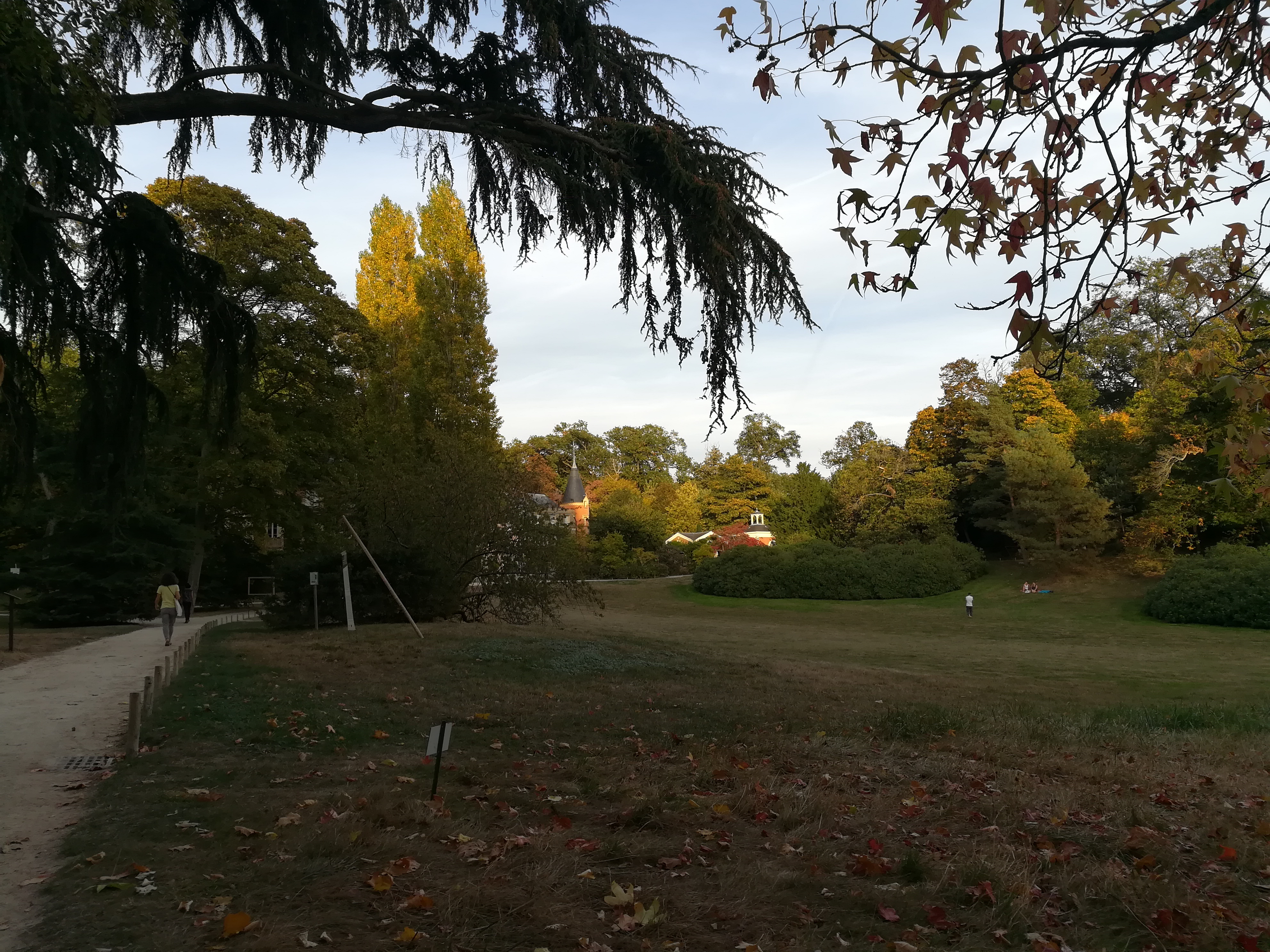 Photo n° 5 de l'avis de Vincent.O fait le 13/10/2018 à 17:33