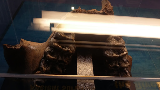 Museum «National Great Rivers Museum», reviews and photos, Lock and Dam Way, Alton, IL 62002, USA