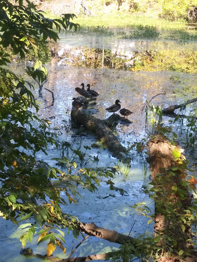 Liquor Store «Liquor Barn», reviews and photos, 1007 Old York Rd, Raritan, NJ 08869, USA