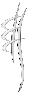 Centre chiropratique Petit-Rey à Villefranche-sur-Saône