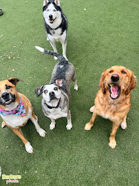 The Barker's Pet Center - Photo 3 - Car repair in Fort Lauderdale, FL, Pembroke Pines