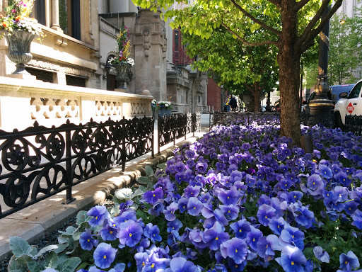 Museum «The Richard H. Driehaus Museum», reviews and photos, 40 E Erie St, Chicago, IL 60611, USA